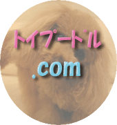 �g�C�v�[�h��